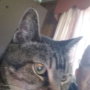 Meet your Posher, Pat